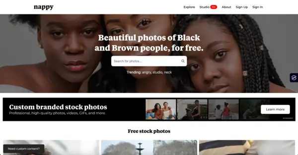 Représentation du site Nappy