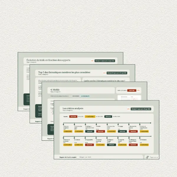 Extraits - Audit site web et analyse statistiques Extraits de l'audit du site de Margoo